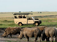 On safari at the Nkomazi Game reserve