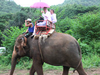 Thailand elephant riding 200