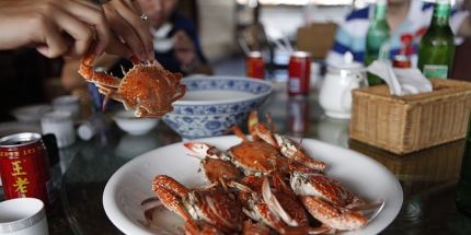 A plate of flower crabs ready for dismantlement