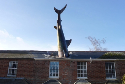 A shark appears to have crashed through the roof of a house in Oxford