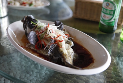 A steamed tiger grouper covered in cucumber and chilli shavings