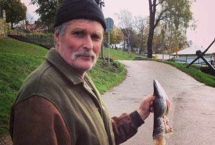An Aland fisherman: 'A seal ate my pike'