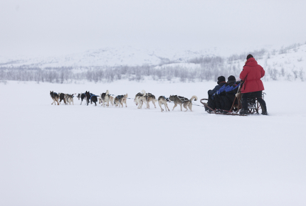 Arguably the most reliable way to get around Lapland