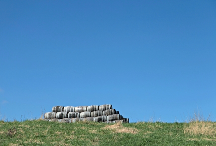 Barrels form part of the landscape near the Speyside Cooperage 
