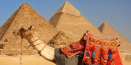 Cairo Classics: The Pyramids are not too busy