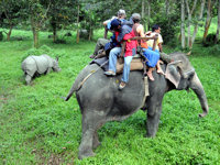 Travel calendar 2012 - Chitwan