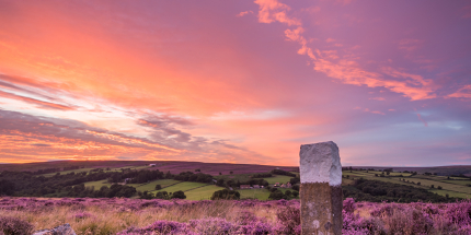 England in bloom.