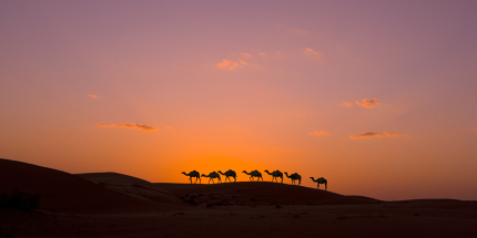 February is the perfect time to visit the 'jewel of Arabia'