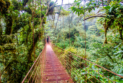 High up in the Monteverde Cloud Forest Reserve in Costa Rica