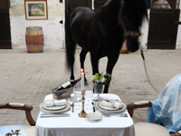 Bordeaux chateau - horses