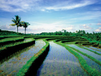 Top destinations 2012 - Indonesia