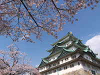 Spring bank holidays - Japan