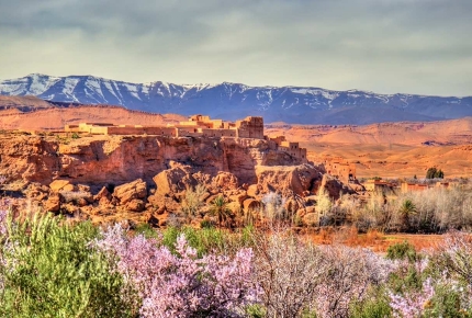 Kalaat M’Gouna in Morocco hosts the Festival of Roses. 