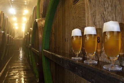 Looking for the best beer in Plzeň? Then look no further...