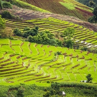 Many digital nomads spend October to March in Chiang Mai, Thailand.  