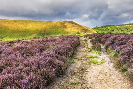 North York Moors National Park is the fifth most popular national park in the world