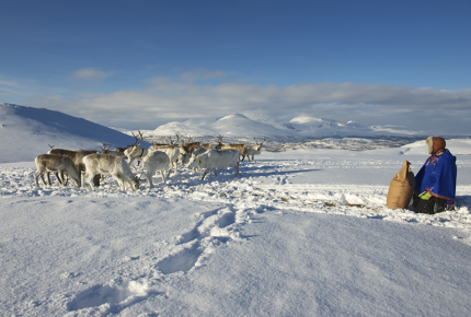 Nutti Sámi Siida offers hands-on lessons in indigenous Sami culture