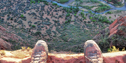 One tourist endured quite a tumble this week