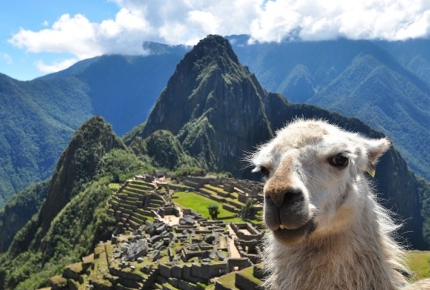 Only llamas and locals knew of Machu Picchu until 1911