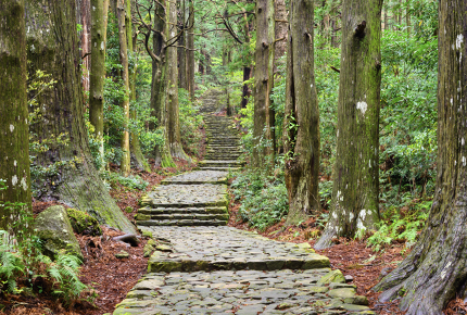 Rediscover your spirituality with a trek in Japan