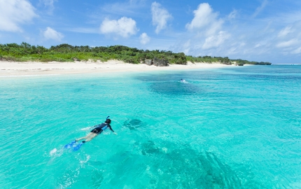 Snorkellers paddle towards one of Okinawa's ubiquitous beaches