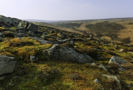 The stunning beauty of the North Yorkshire Moors 