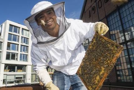 Urban beekeeping in Vulkan, a new eco-friendly neighborhood
