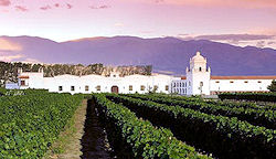 Vineyard stays - Bodega El Esteco, Argentina