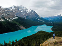 Banff, ski insider's guide, 200