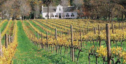 Buitenverwacht in the Cape winelands © South African Tourism