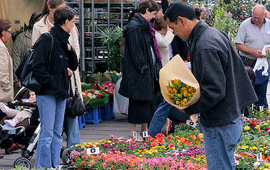 Ixelles Flower market 