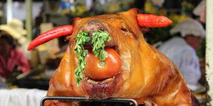 Roast pig Ecuador