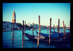 Venice instagram 250