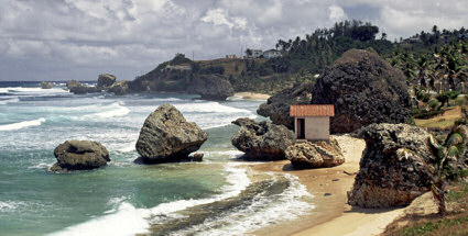 Bathsheba's strangely-shaped coral rocks litter the shoreline