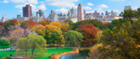 New York City blooms in the autumn