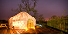 Go glamping in a Canopy & Stars yurt