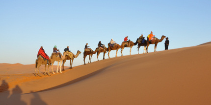 Venture out into Morocco's stunning scenery