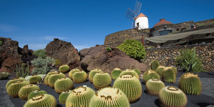 Liven up February with a trip to Lanzarote