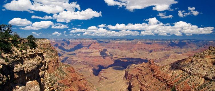 Go on a day trip to the Grand Canyon
