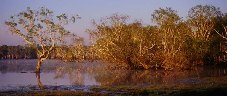 Sandy creek, Kakadu National Park, near Darwin