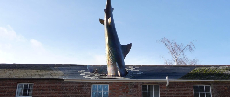 A shark appears to have crashed through the roof of this house