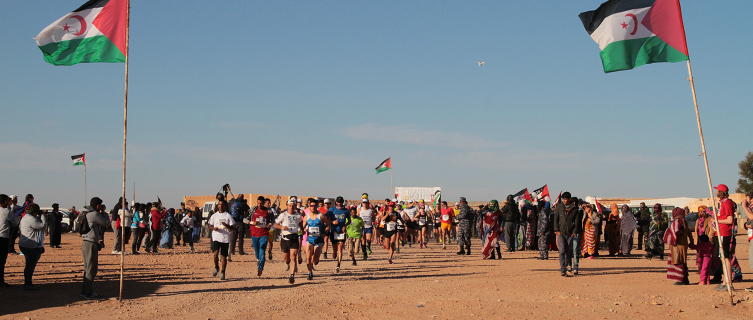 And they're off: Participants start the Sahara Marathon