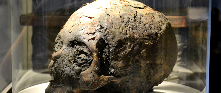 Another museum exhibit is this skull, named Harriett
