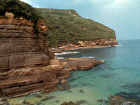 Explore pristine beaches and the untamed coast at Booderee National Park.