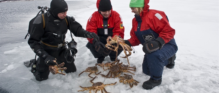 Catch, cook and quaff delicious king crabs in Finnmark