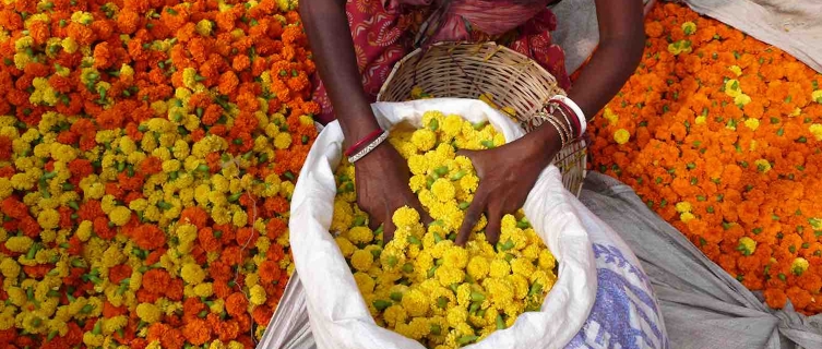 Colourful marigolds in Kolkata