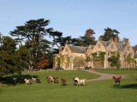 Combe House and its grounds