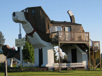 Yes, this giant dog is also a cosy B&B