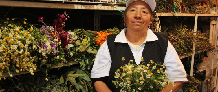 Dona Rosa is one of Quito's most revered healers