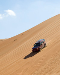 Get ready for the thrilling twists and turns of the desert safari